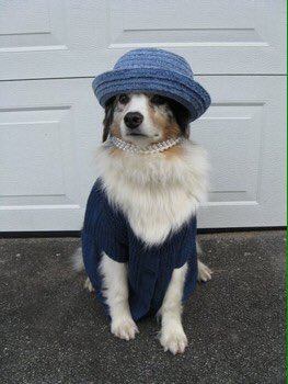 Hoy promoción en Colombia 9187 local4-5, la Florida. Los esperamos con info del mejor alimento.