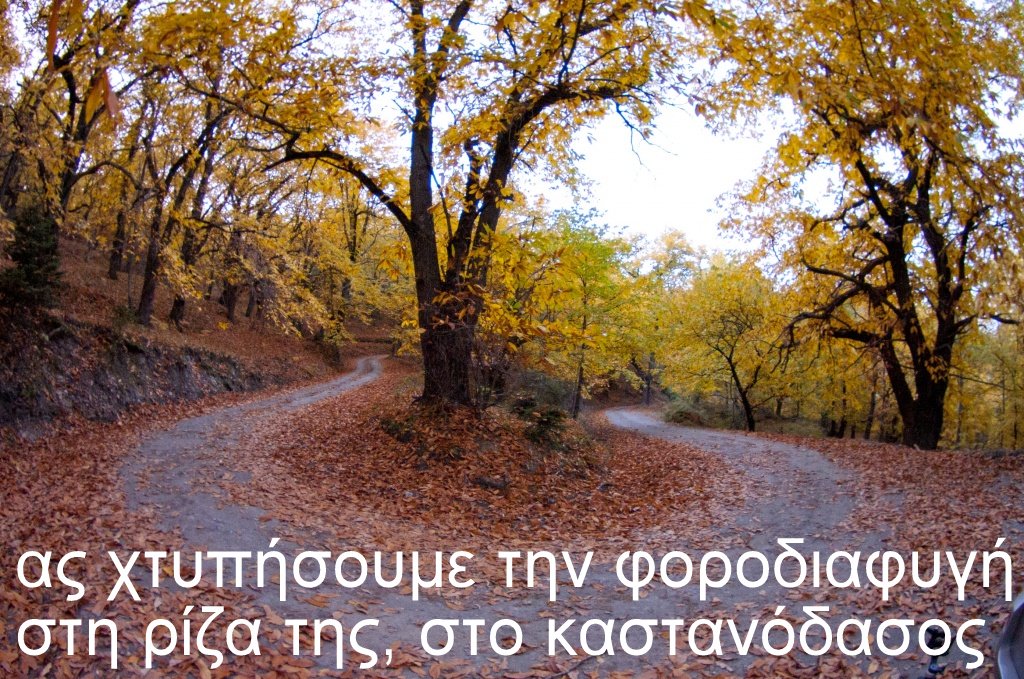 Προβολή εικόνας στο Twitter