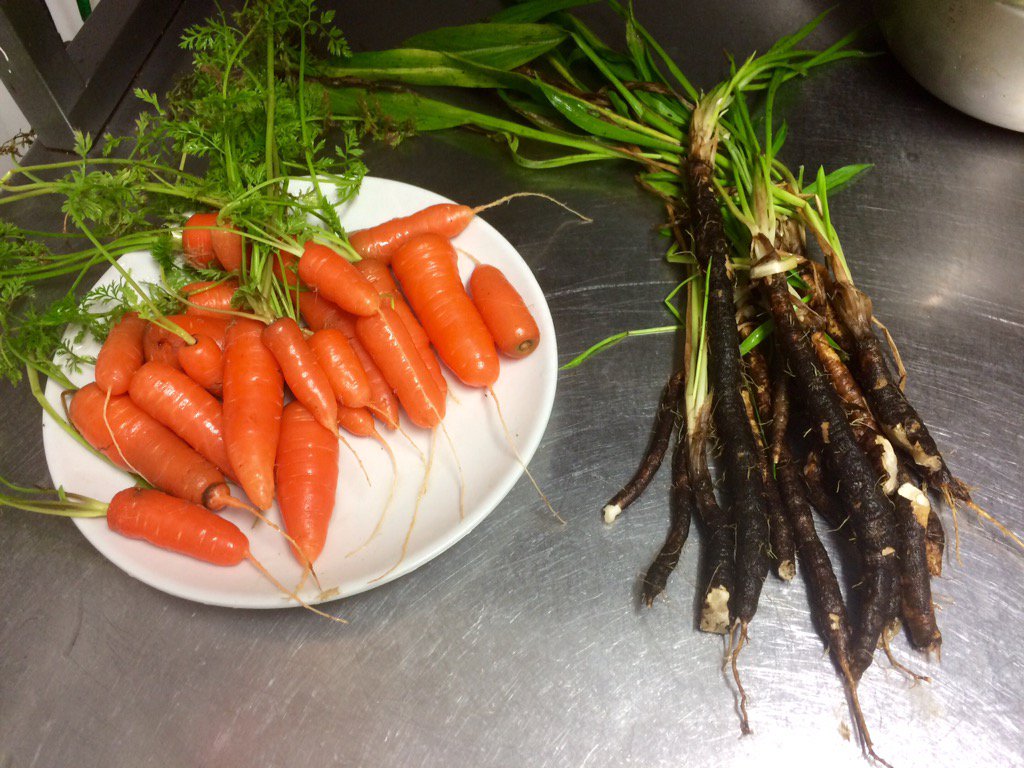 chefallenmuriel's tweet photo. https://t.co/1UPJXgdIkS #homegrown #cornish #Christmas https://t.co/pOmtA7s8bh
