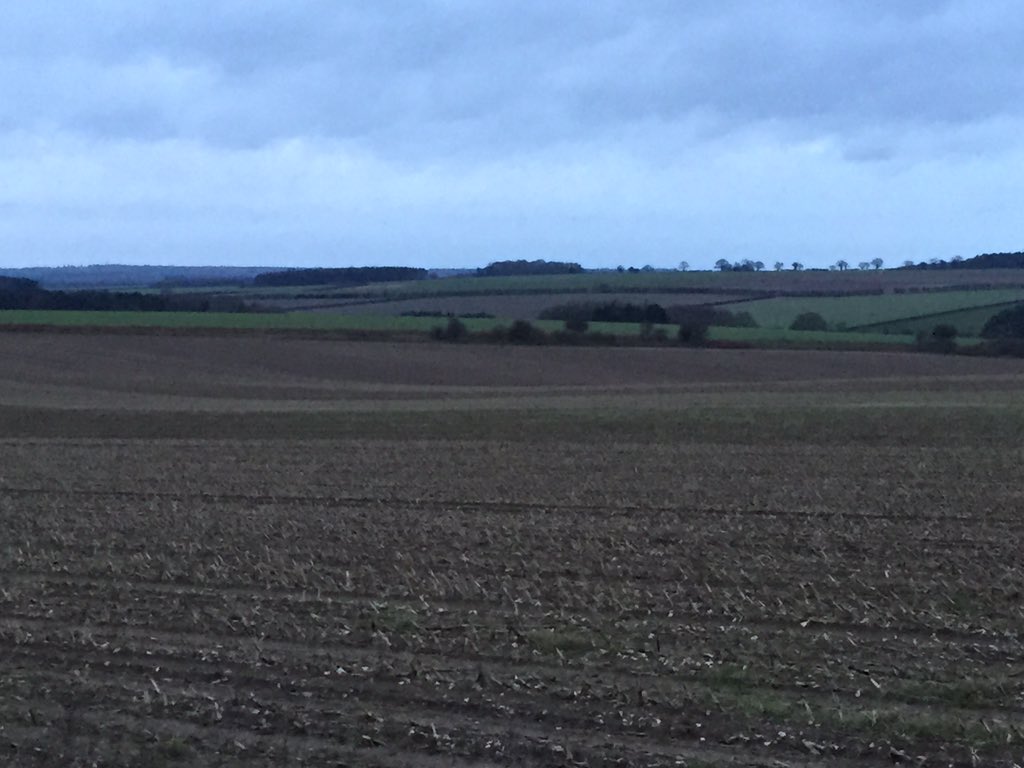AshleyRGilman's tweet photo. Whilst the girls are shopping, it has been an opportunity for a few miles on foot around home. #only4togo https://t.co/X43lSjx29n