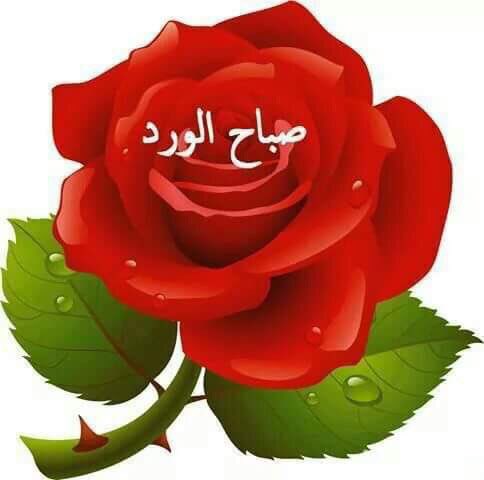 bb74994 tweet picture
