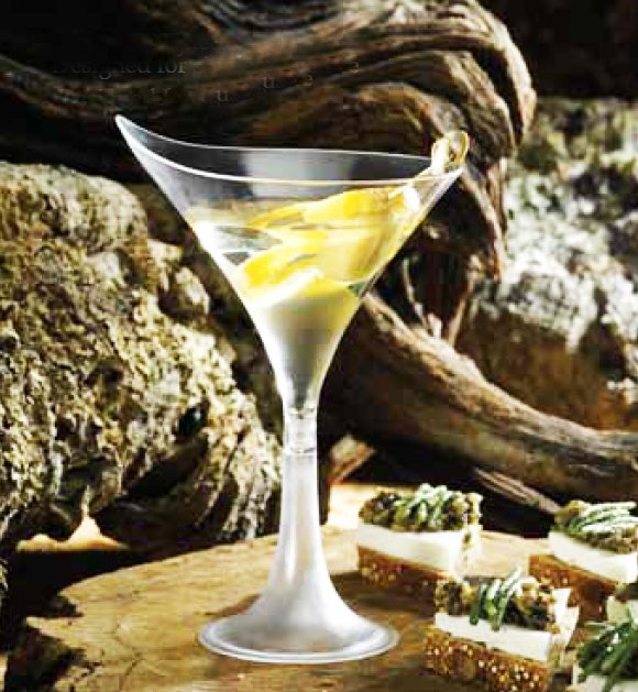 WalkingMatters's tweet photo. It's the holidays...celebrate with #Rosseto's singleservice LITEWARE #cocktailglass collection #Martini Cup, 5.5 oz https://t.co/sZIqcsXmnd