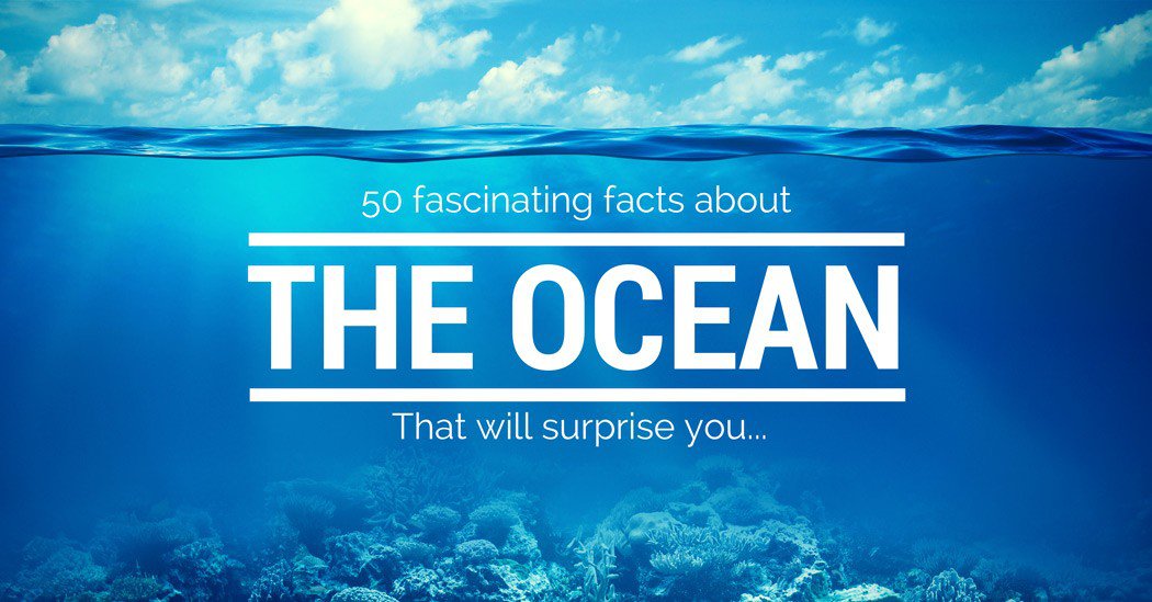 50 Fascinating Facts About the Ocean via @divein_news. Check out the full infographic: bit.ly/1Rexkj5