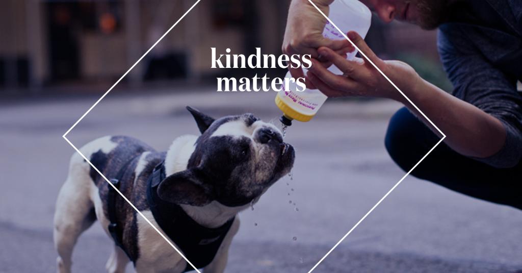 lululemon's tweet photo. The goal for today is to perform 5 completely random acts of kindness all in one day. Big or small. #FuelHappiness https://t.co/h3Aox2RnNe