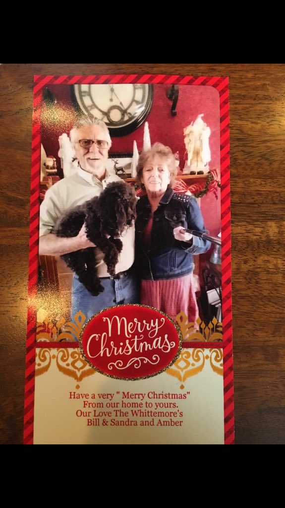 AndreaMcEwen's tweet photo. My grandma took her Christmas pic with a selfie stick 🎄 https://t.co/2T2LHLU55v