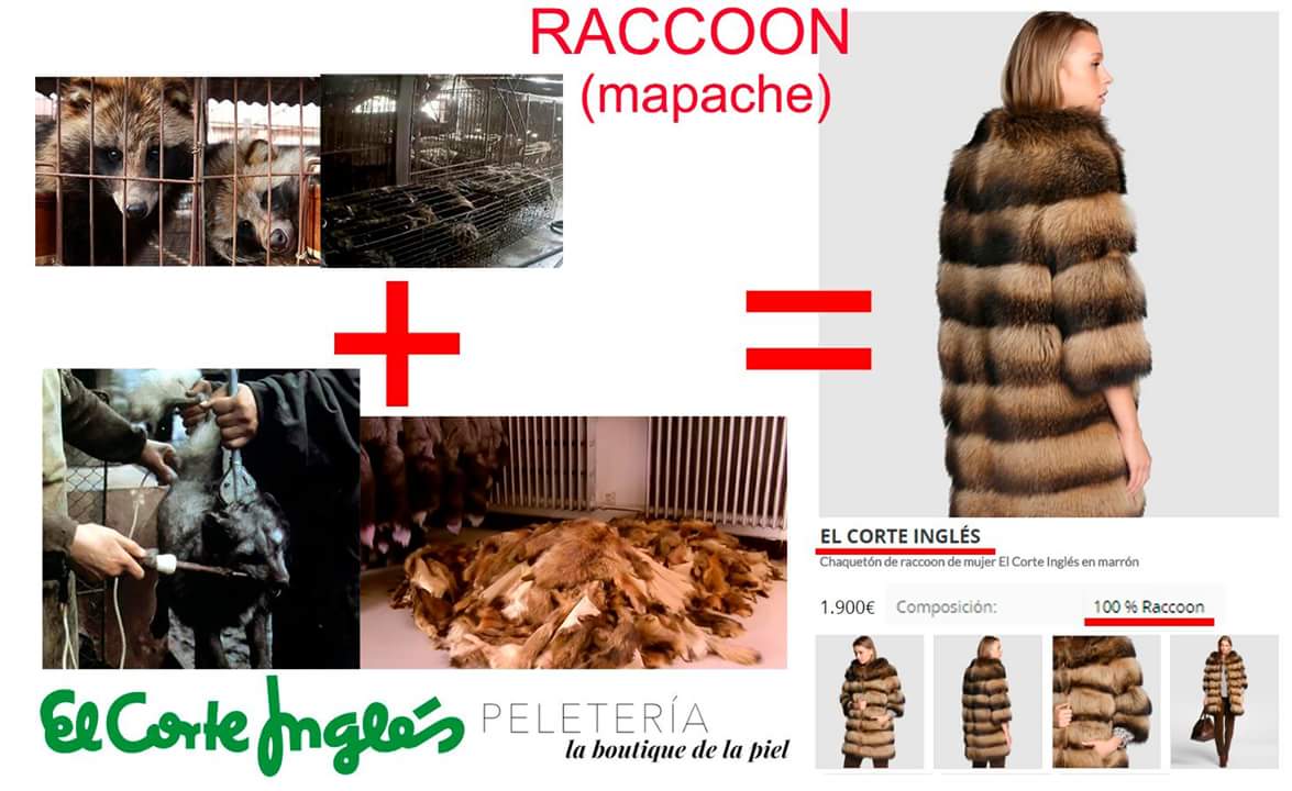 69taboo69's tweet photo. ASCO CORTE INGLÉS https://t.co/dVkm8v5e8n