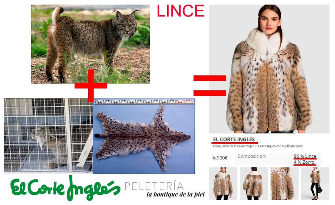 69taboo69's tweet photo. ASCO CORTE INGLÉS https://t.co/dVkm8v5e8n