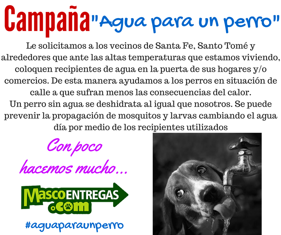 mascoentregas's tweet photo. #aguaparaunperro Campaña para ayudar a un amigo sin hogar https://t.co/gW1KytSIUs