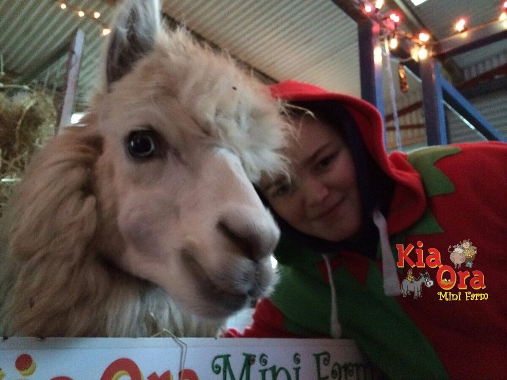 KiaOraMiniFarm1's tweet photo. #elfieselfies @visitwexford @Love_Gorey @killianecastle @rosmhictreoin @DiffStro #SantaWexford #elf2015 https://t.co/qT2b3UP7IN