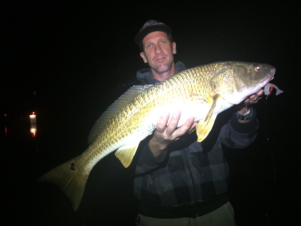 CaptMattFishero's tweet photo. Landing over slot #redfish on #grandslambaits at night!
#fisheroadventures https://t.co/r3krDFpYd5