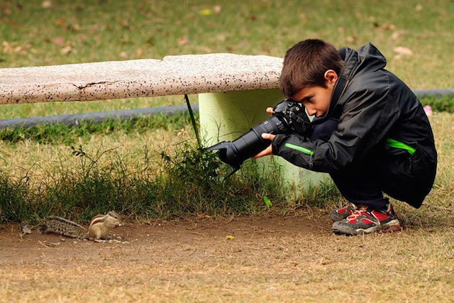A los animales sólo se les deberían disparar fotografías #StopCaza #SuVozTuVoto