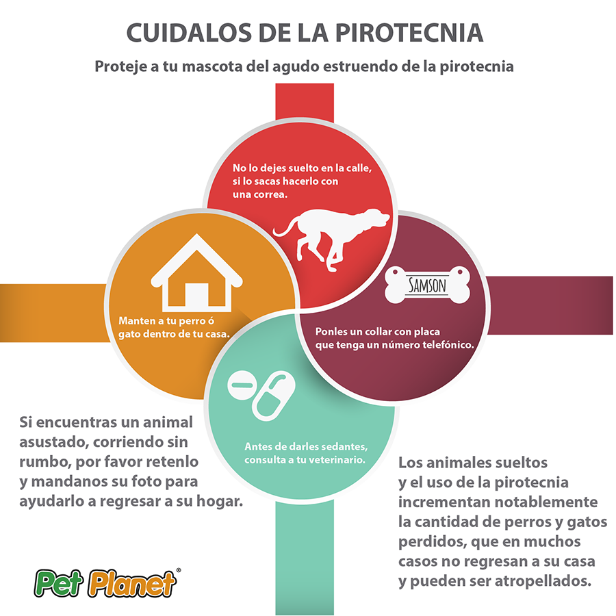 PetPlanetMex's tweet photo. En las fiestas decembrinas se vive el ruido de los cohetes, ¡mantengan a sus animales cerca! ⚠ https://t.co/zda67jDGfr