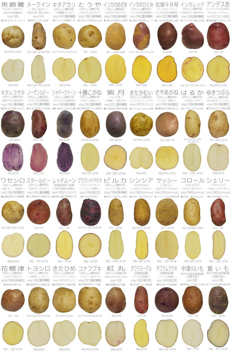 食べる大谷さん 東マ 02b 1日目 C告知 3日目 東ペ 16b 大谷号 にてジャガイモがもっと好きになるジャガイモ同人誌を頒布します スペースはジャガポスターが目印だよっ 詳細は大谷号の同人紹介サイトにて T Co Vi5kwnn6ug T