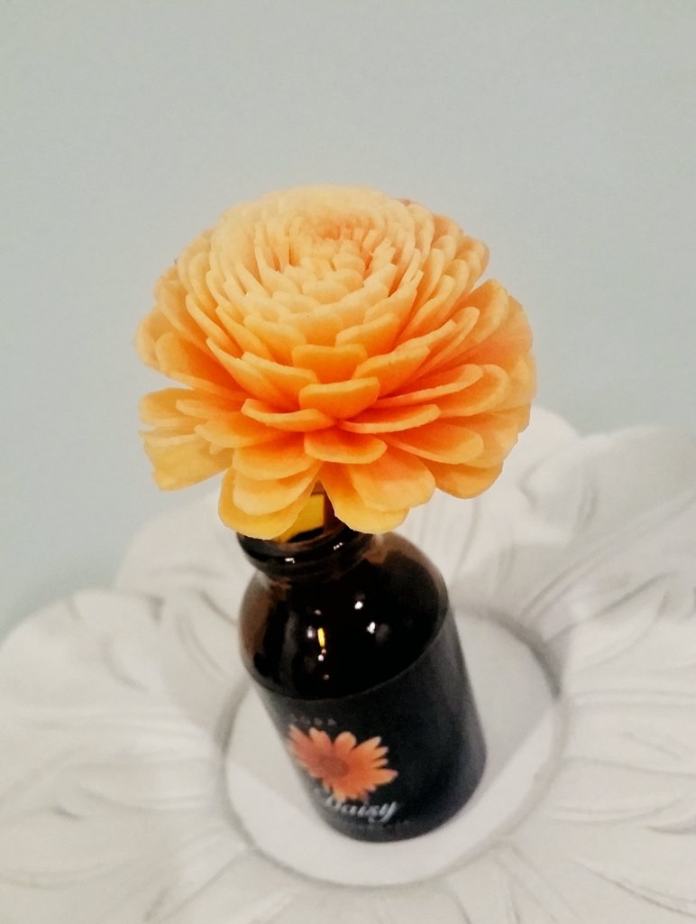nominomify's tweet photo. Day 6. It has fully blossomed *.*
#whoisjimin https://t.co/hSxZXODS0T