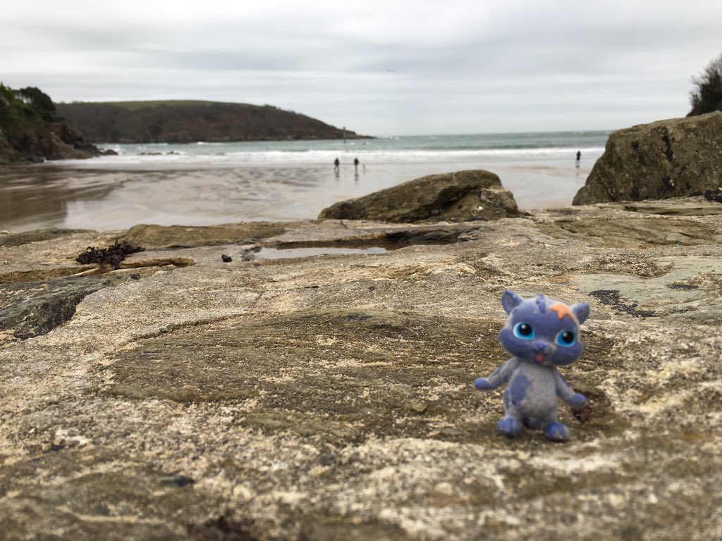 Waiting for his parents!!#northlands #lost #Salcombe #helpme