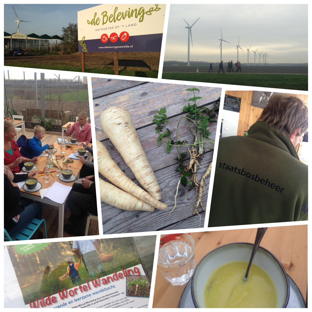 Johns_Farm's tweet photo. Dat was een mooie speurtocht naar de 'wilde wortel' vandaag met @staatsbosbeheer #pastinaak #lekker #horsterwold https://t.co/uNuYCbz46J