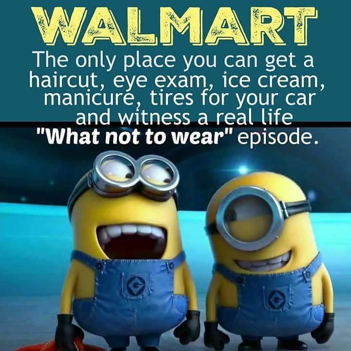 KiwiiAllen's tweet photo. https://t.co/A9Yg3RLWpO