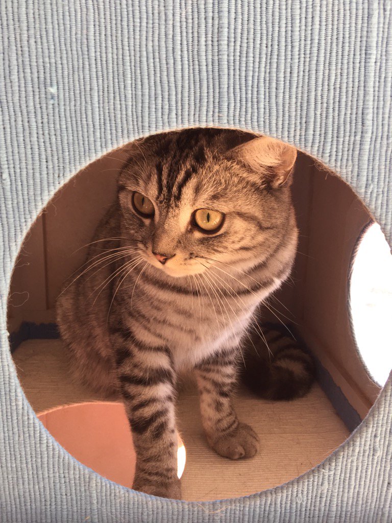 gerardway's tweet image. Sweet Mitchell