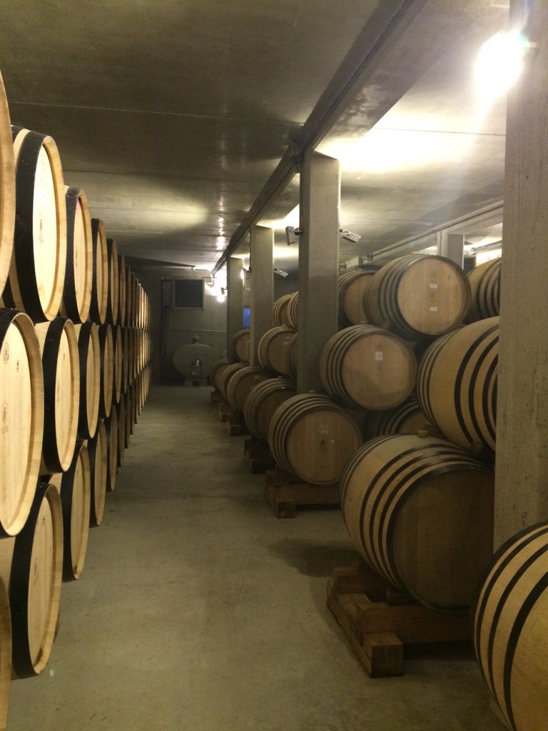 MalyLuyton's tweet photo. Visite de la cave de Tain l'Hermitage caisses locales Tain St Donat Chateauneuf @ca_centrest https://t.co/R7ib3hUYyv