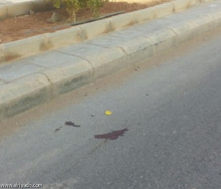 رابط دائم للصورة المُضمّنة