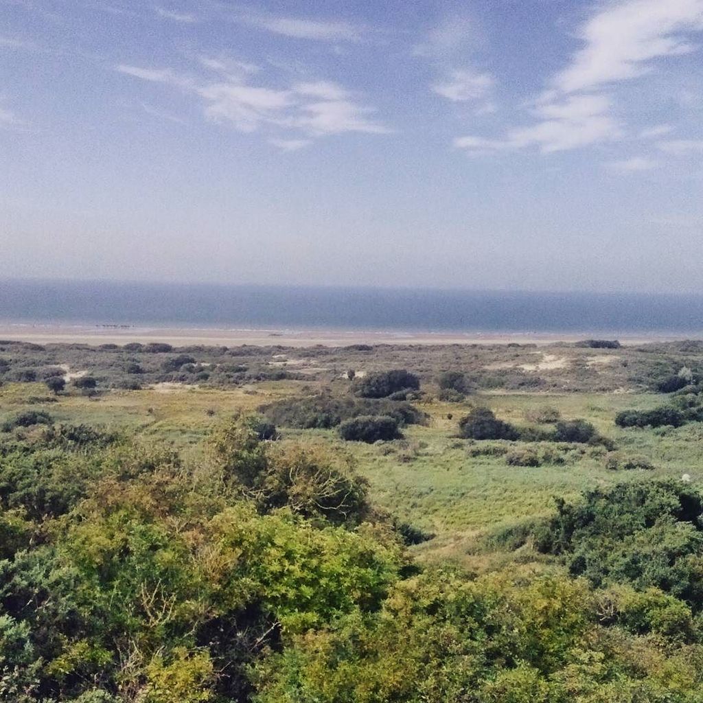 weKitesurf's tweet photo. From green to blue #wissant #capblancnez #capgriznez #wimereux #nordpasdecalais #summer #france #atlanticocean #sur… https://t.co/mMKlcNEvzN