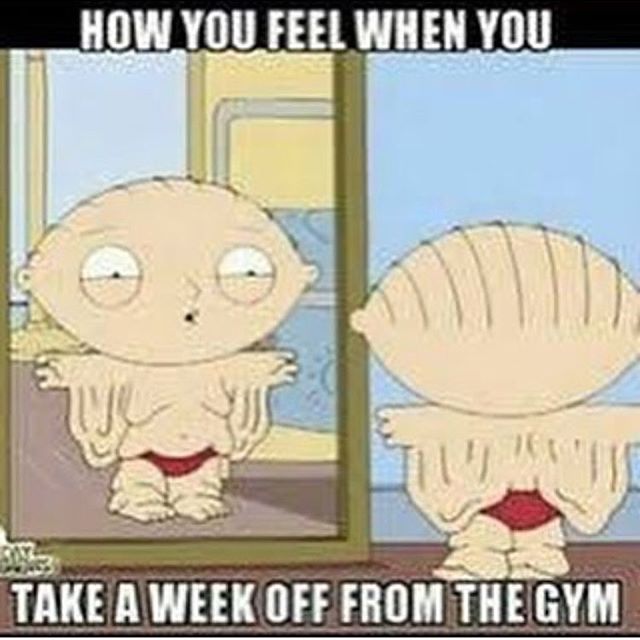 Shredz's tweet photo. https://t.co/lpeDpraxU7