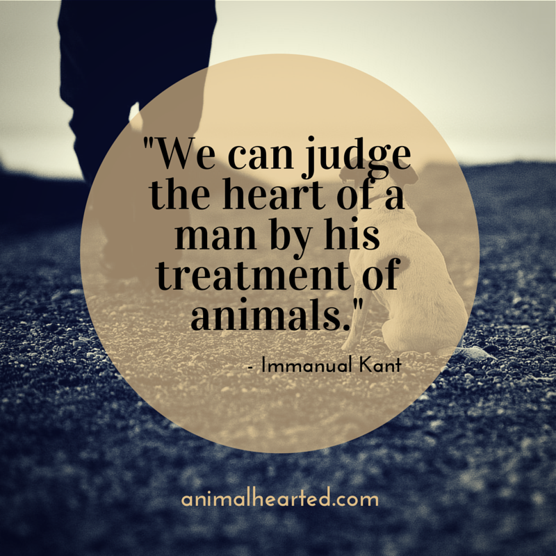 Animal_Hearted's tweet photo. Agree? https://t.co/wPJYQWm6e7