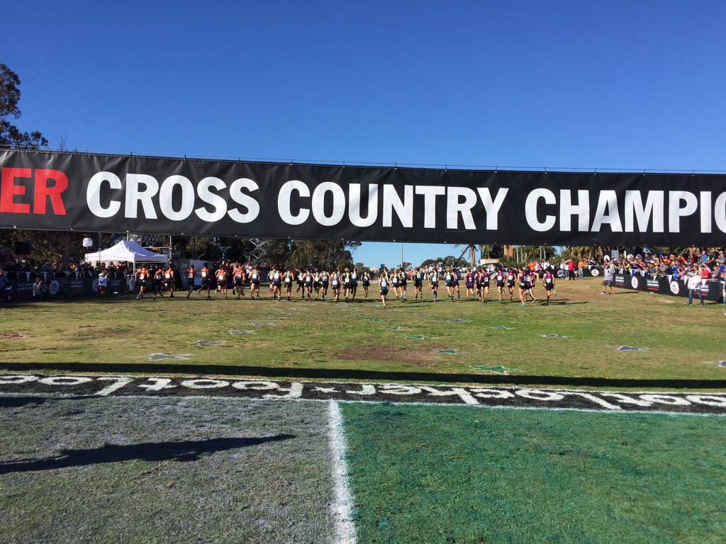 etrunner's tweet photo. @FLCCC https://t.co/tzn8NxCKXB