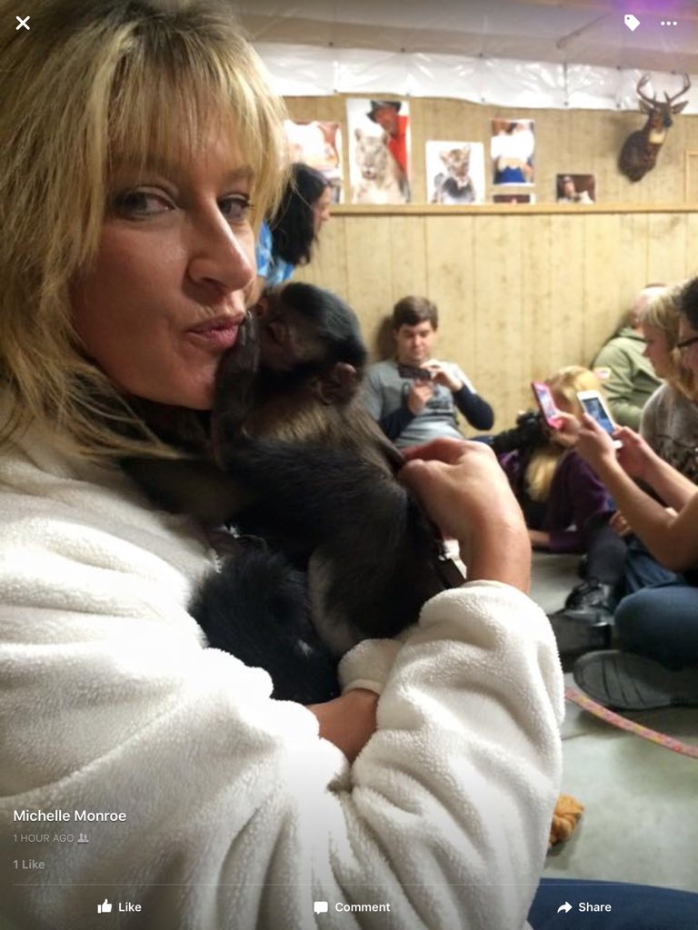 MichelleMonroe6's tweet photo. Just hanging with baby tigers and monkeys today https://t.co/tHj9dhMM4c