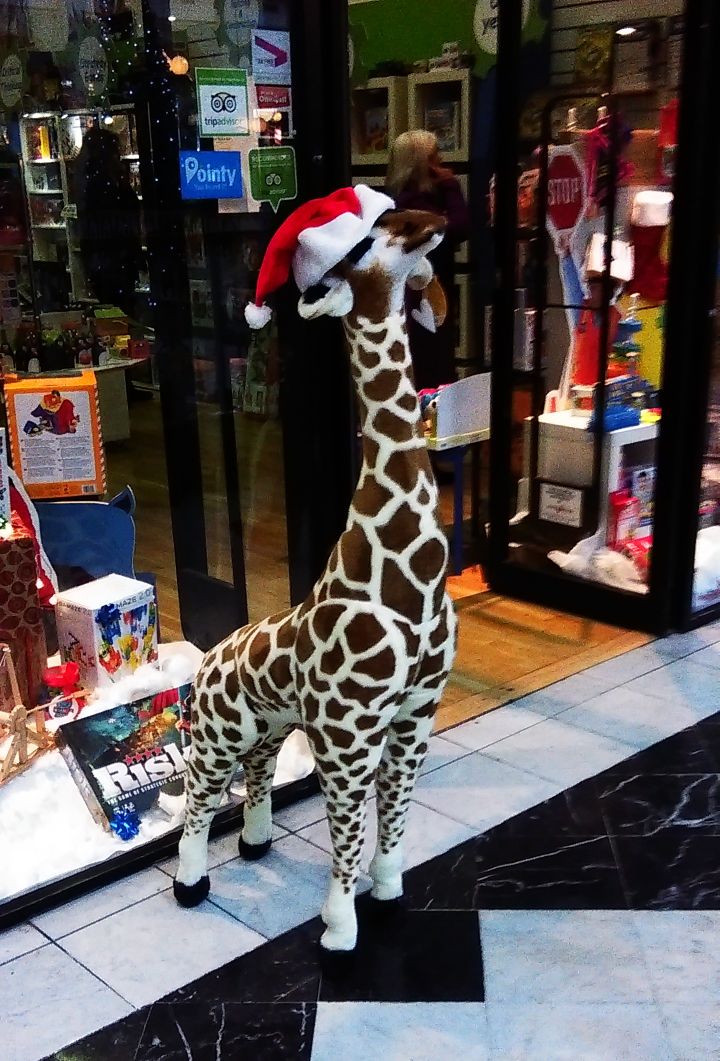 fakeHVupdates's tweet photo. Nia was seen doing some Christmas shopping in Dublin today! https://t.co/rYzxBBrNCj