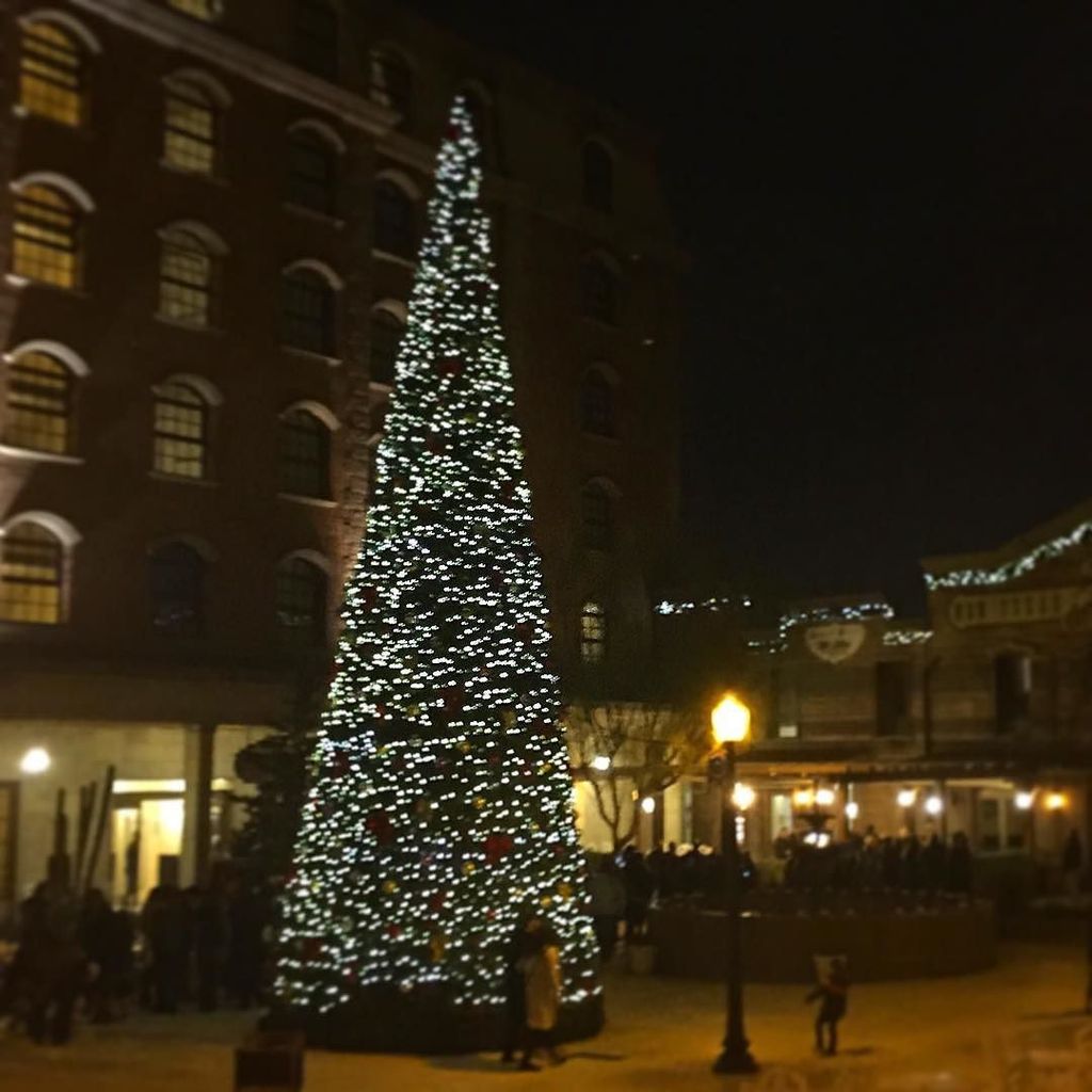 oroyuela's tweet photo. Christmas Experince #pace15 en @portaventuraoficial https://t.co/TtluW95bgH