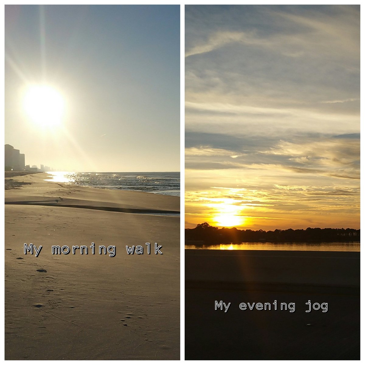 LCPilson3's tweet photo. From the rising of the sun until the going down of the same I will be grateful. #blessed #lovingFL https://t.co/m1drD4B5rf