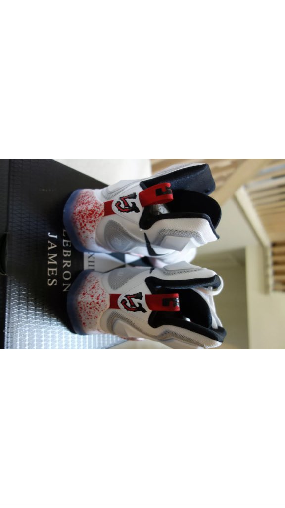 TeamLeBron___23's tweet photo. Free Giveaway💯 Retweet and follow to win these #LeBron Special Edition shoes 🏀 Winner picked Xmas day 👑 #KingJames https://t.co/EiV99cDwy3
