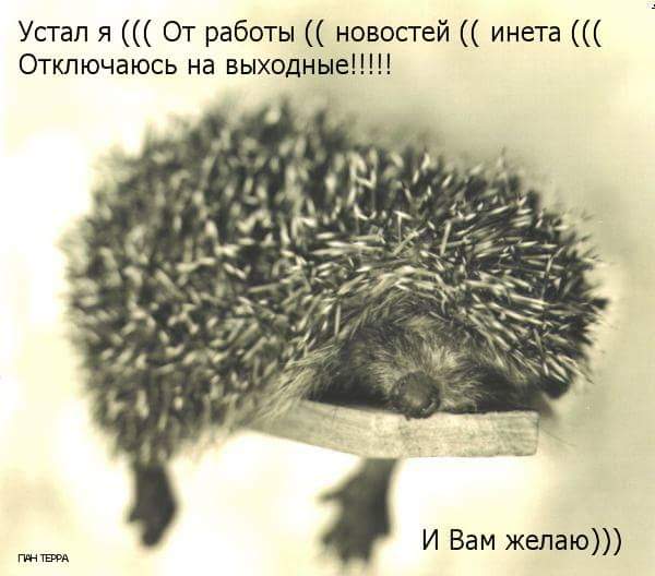 NikaSirant (@nika070285) on Twitter photo 