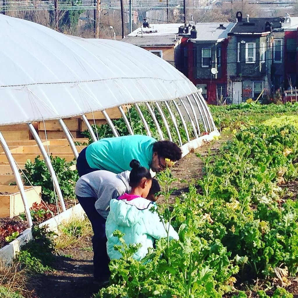 ComeHomeZone's tweet photo. the end of harvest season at Bond St farm. โค๏ธ #madeinbaltimore #builtinbaltimore #onebaltiโฆ https://t.co/Q8Bj3ccnbJ https://t.co/qgQqUiHVKy