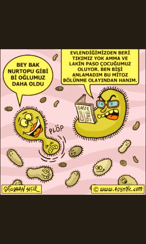 aysnrdlk7's tweet photo. "@AyseKay39708891: Yarınlarİçin FeneÖnem
🔭🔬⛄✒✏📖✂🔭🔬⛄✒✏📖 https://t.co/kSV2e0eKFp"