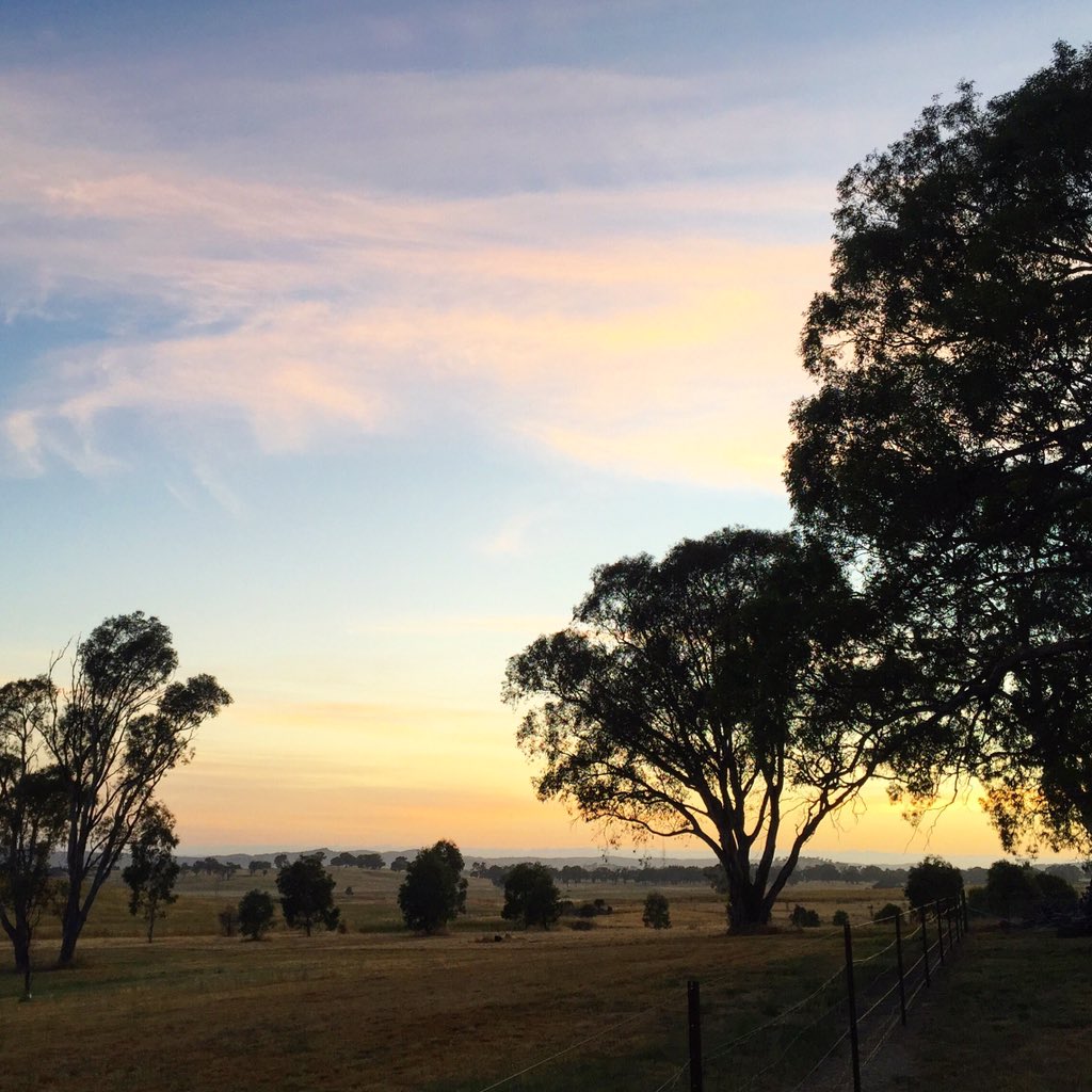 HandmadeCanberra tweet media