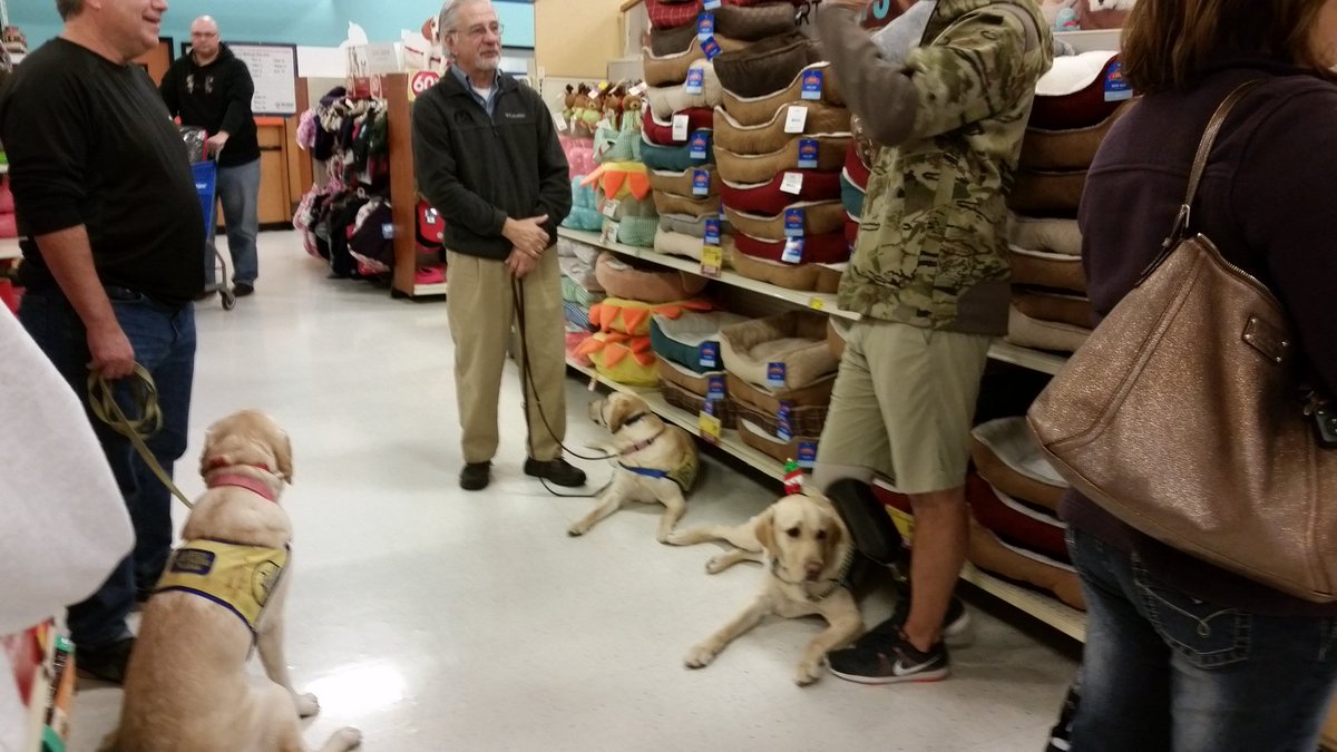 meridianpetm's tweet photo. @ccicanine has invaded the @meridianpetm @PetSmart #petsmartforpatriots #helpisafourleggedword https://t.co/Gv8xIeu2tv