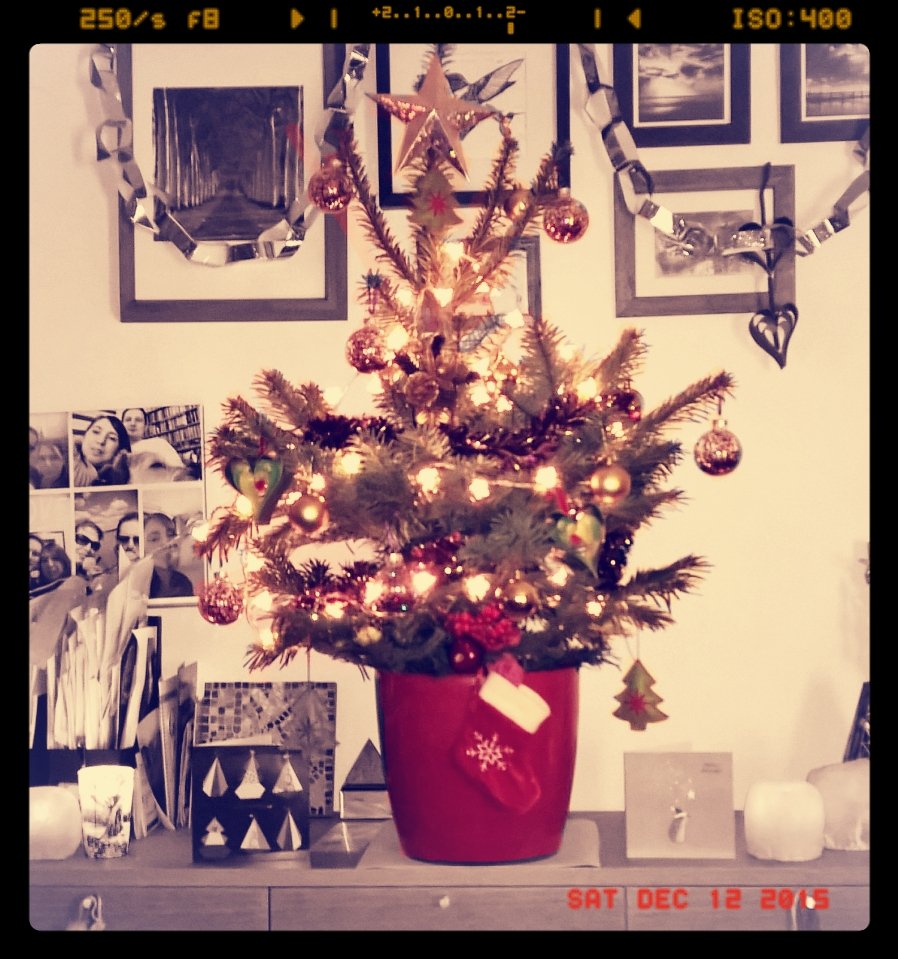 carhar13's tweet photo. Christmas is here! Love our #realxmastree, so sweet ๐๐
https://t.co/qhLxxESR0T