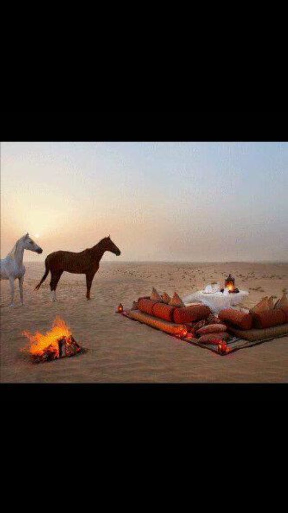 ربعي محددة الجمل مابهم شك 
من راس وايل وراثين الشجاعه