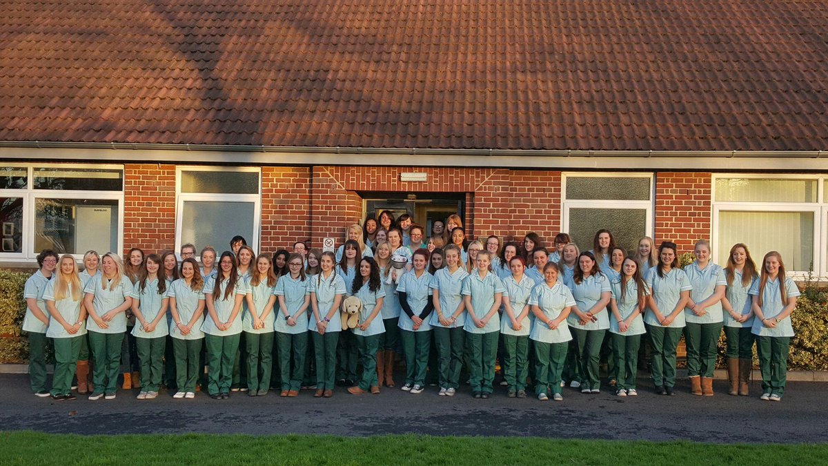 laura_marlow's tweet photo. HAUs awesome first year vns 😄 #harperrvn #harperadamsuni https://t.co/N0bt9wTW1q