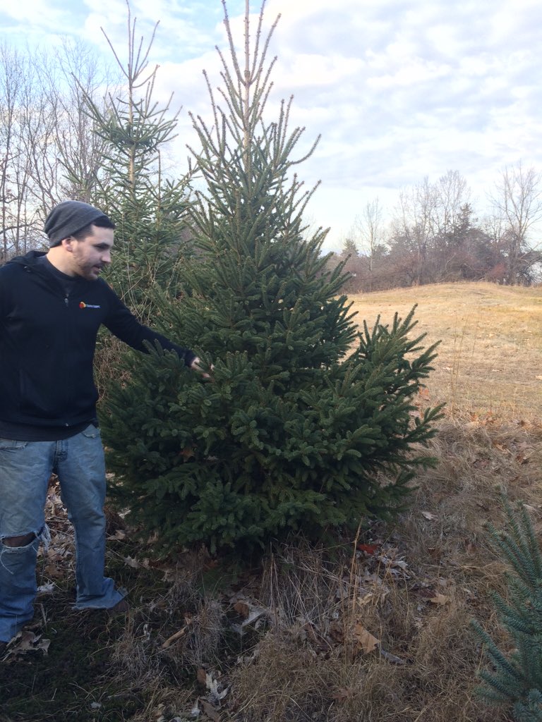 vrunt's tweet photo. #lfcts andrew criticizing my pick https://t.co/B2mU23KzgW