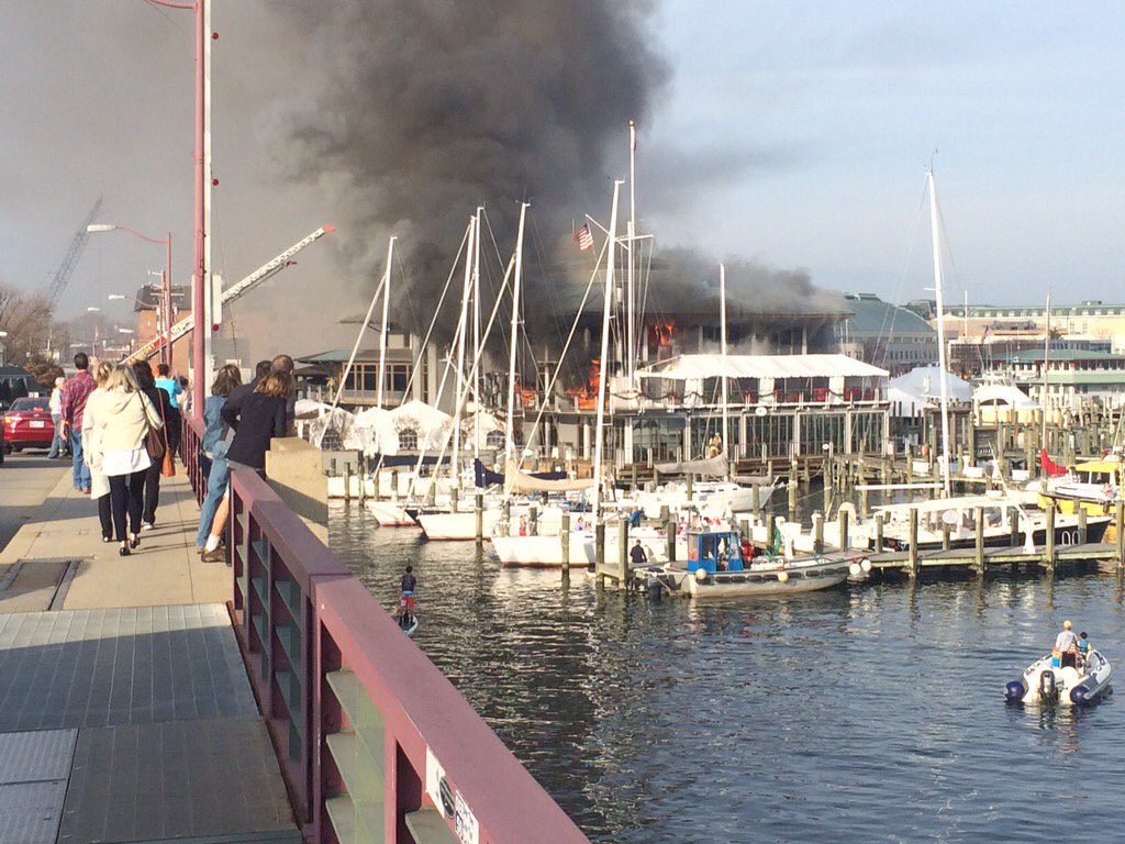 Molly Gilson tweet media