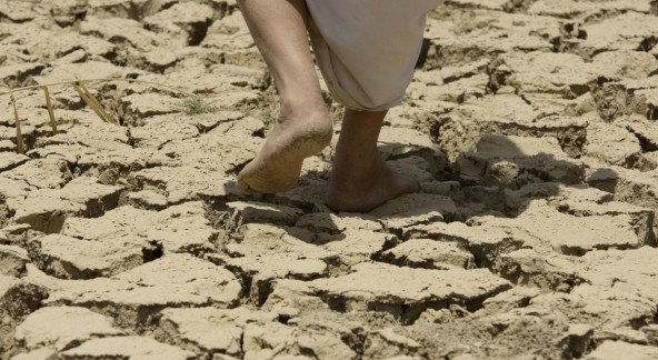 The Convenient Truth About Soil #COP21 #SoilRestoration buff.ly/1Rh6s1E