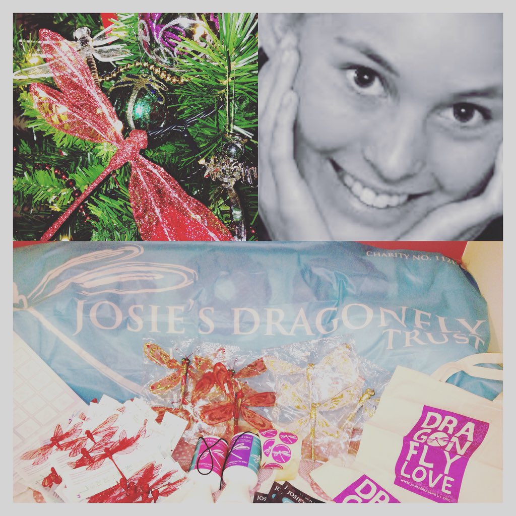 SarahFoster95's tweet photo. I am at Talkin Tarn with stall for Josie's Dragonfly tomorrow! Pop down and help support children with cancer! https://t.co/925poRo8Jh