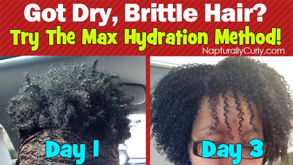 MovementNatural's tweet photo. Have dry, brittle hair? Want to define your curls? #MaxHydrationMethod ✨ https://t.co/bMlE6sAjF6