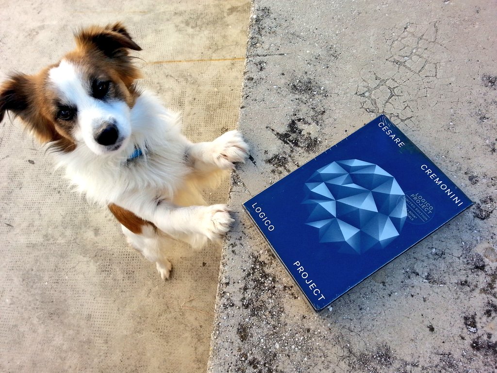 MarikaOdoardi's tweet photo. Oggi mi sono fatta un regalo...a quanto pare hanno gradito tutti! @CremoniniCesare #Logicoproject #cesarecremonini https://t.co/pZL1leC4HL