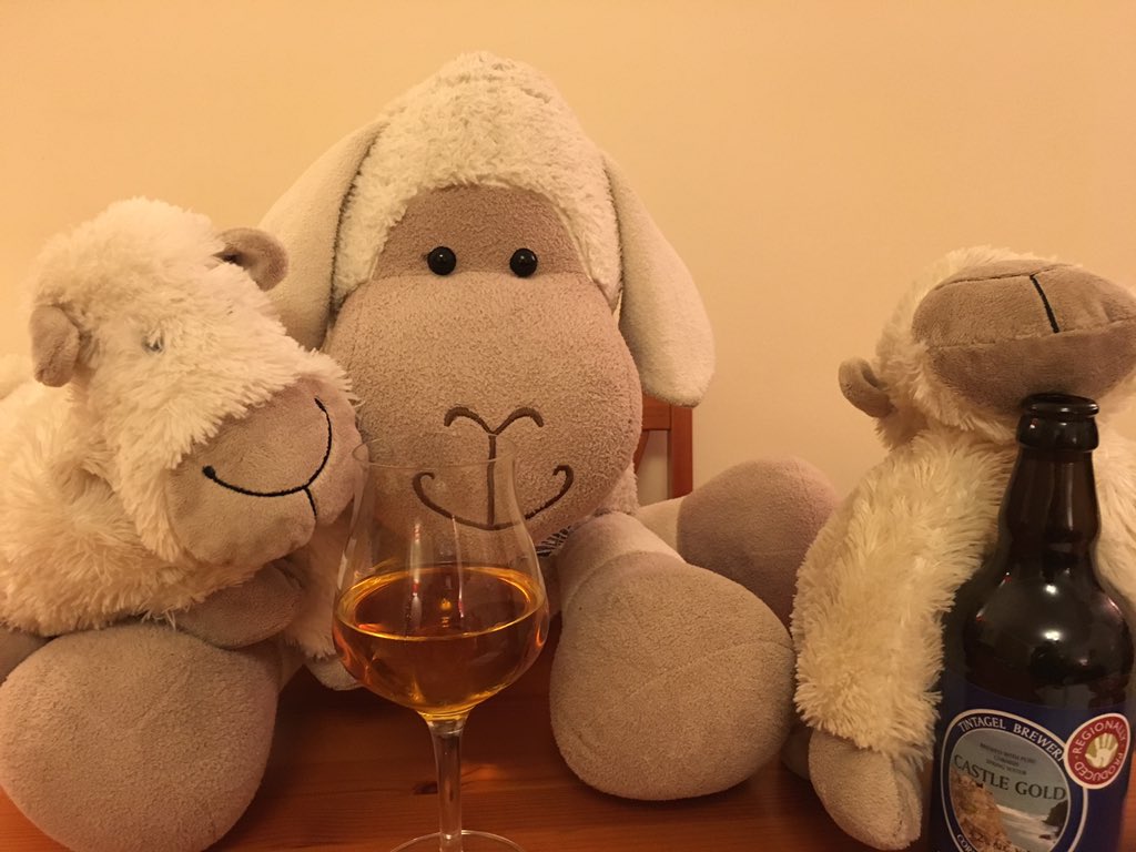 UnclePeteSheep's tweet photo. Mmm. A nice sweet malty aroma. It almost smells crisp. Umm what are you up to Merlin? #yearofbeer 🍺🍺🍺🐑🐑🐑 https://t.co/dmHDxO7I1v