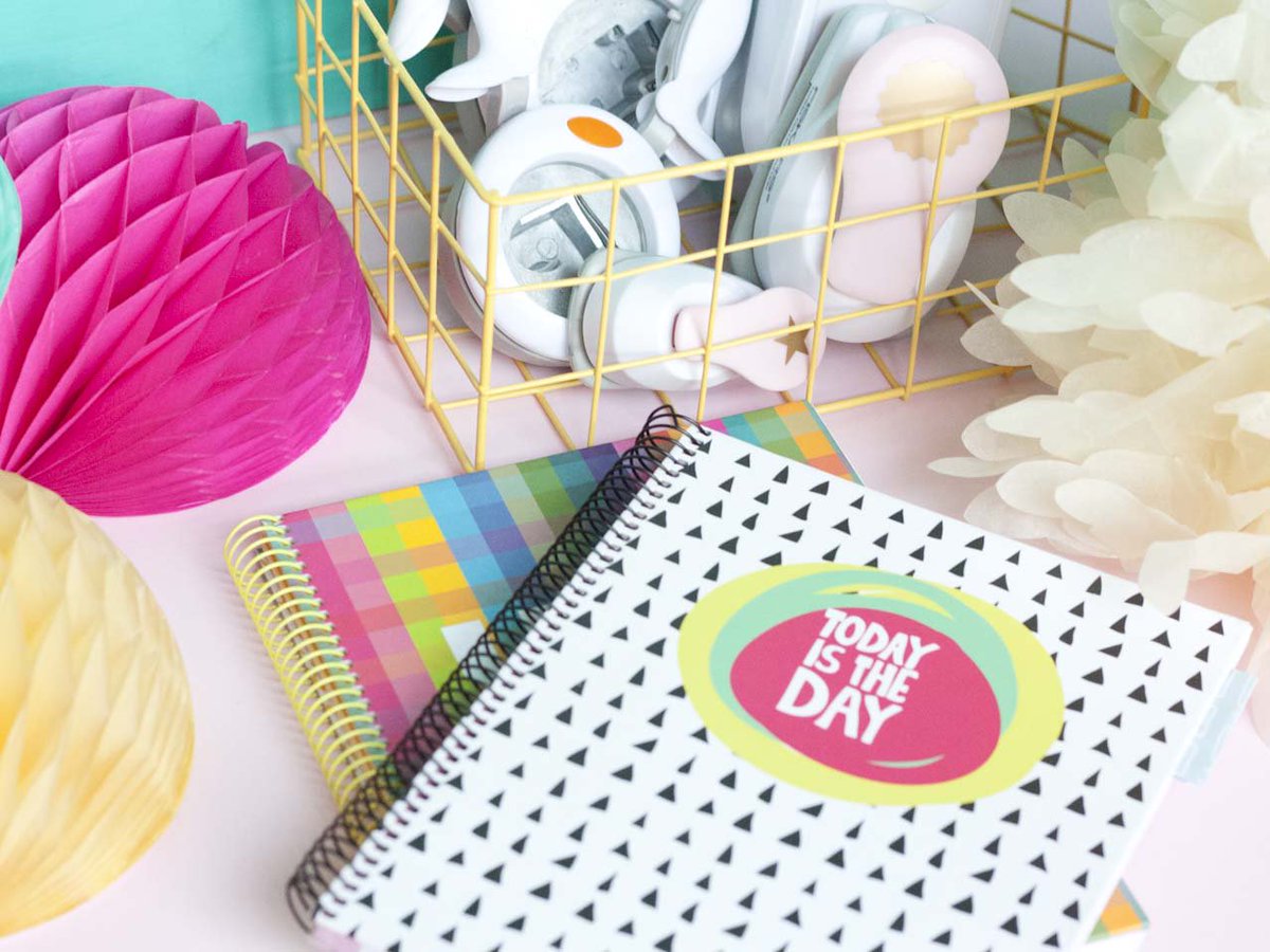 EscrapTweet's tweet photo. Cuadernos y troqueles, combinaciones que nos encantan
https://t.co/WsnLWp6moZ https://t.co/7SOq0TitdZ