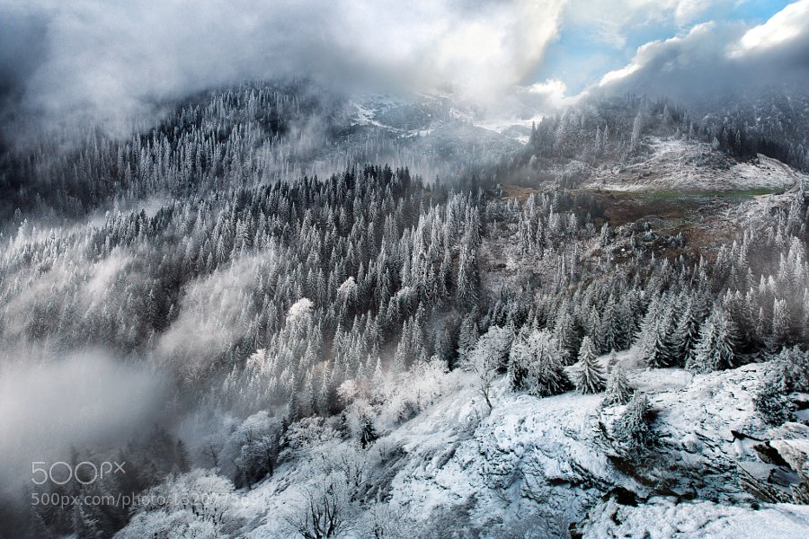 Frozenland by AdnanBubalo #photo